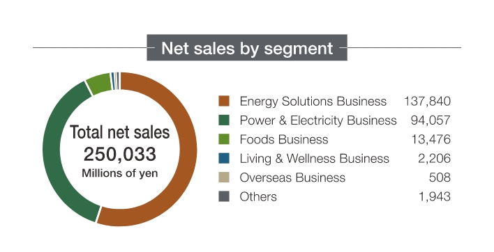 Net sales by segment