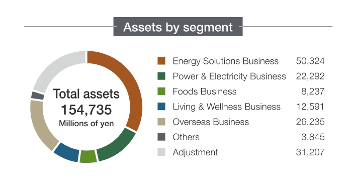 Assets by segment