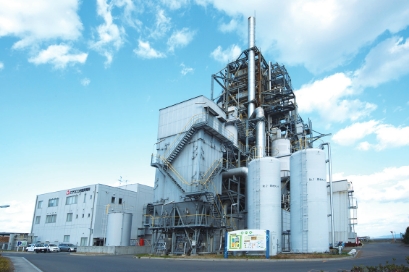 Biomass power generation business