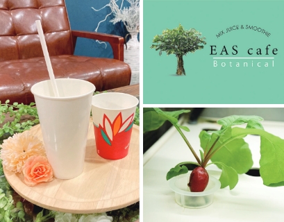 EAS café promoting elimination of plastic and local production for local consumption toward becoming a sustainable cafe