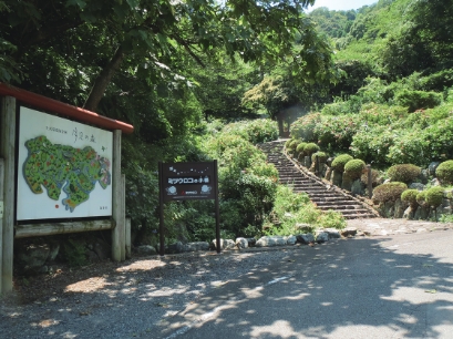 採水地周辺の森林保護育成活動